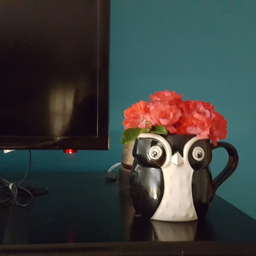 Meet your Posher, Coral